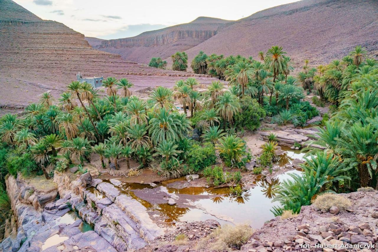Ouednoujoum Ecolodge & Spa Uarzazate Exterior foto